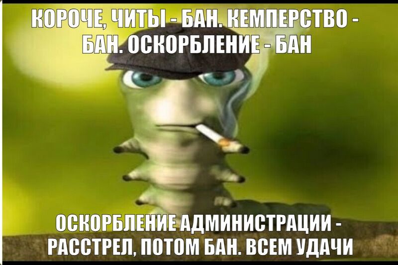 Файл:Мяумяумяу.jpg